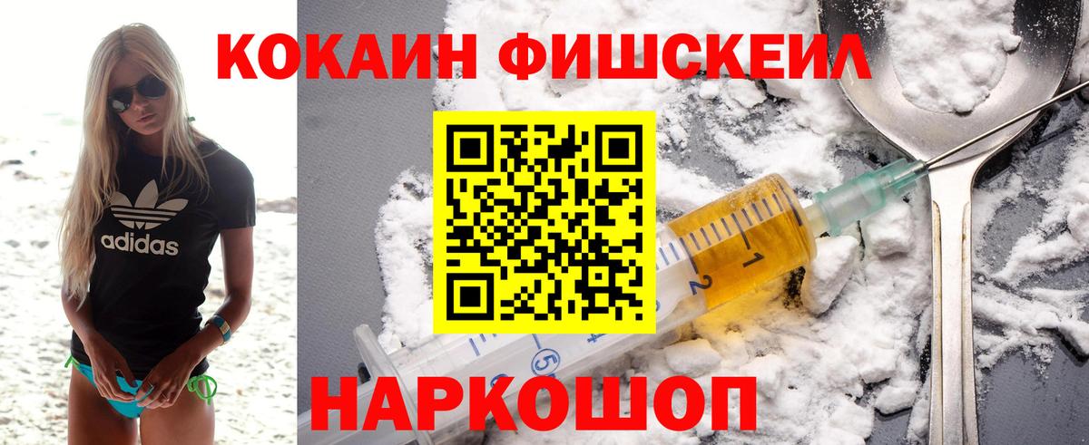 Меф Димитровград