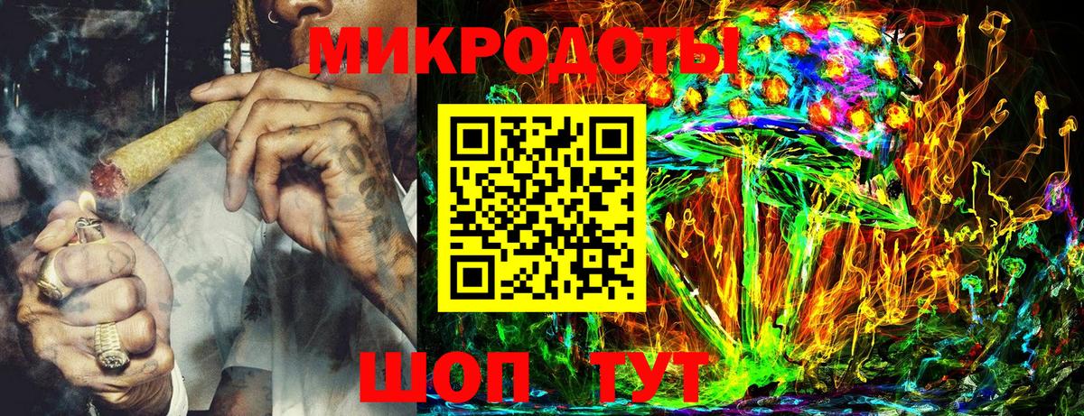 Димитровград  Псилоцибиновые грибы Psilocybine cubensis  Вход с VPN 